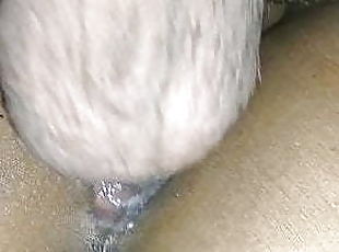 Husband films Pakistani wife cuckold