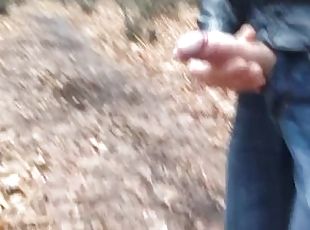 Risky jerk off in public