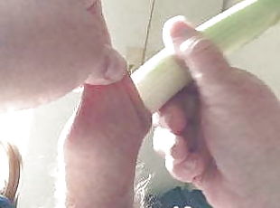 Leek vegetable in foreskin #2 