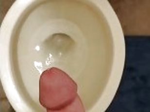 Jerk off Into toilet