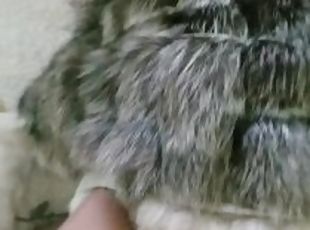 Babygirl getting fucked in a silver fox fur