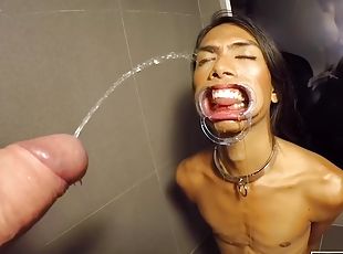 bading, ekstrem, pissing, shemale, skinny, blowjob, hardcore, creampie, facial, fetisj