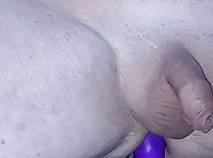 Anal Plug