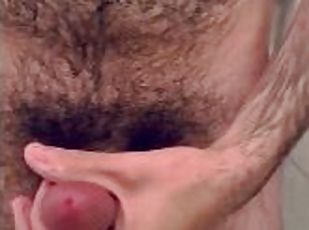 Hairy Dick POV